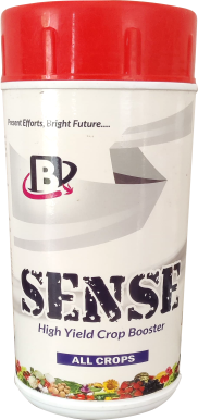 Sense