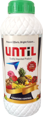 Until