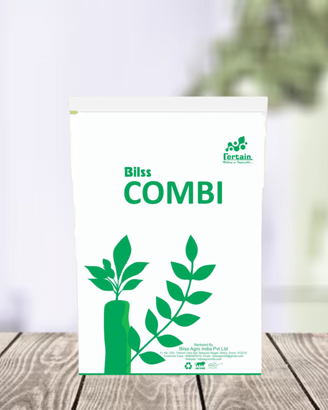 Bilss Combi
