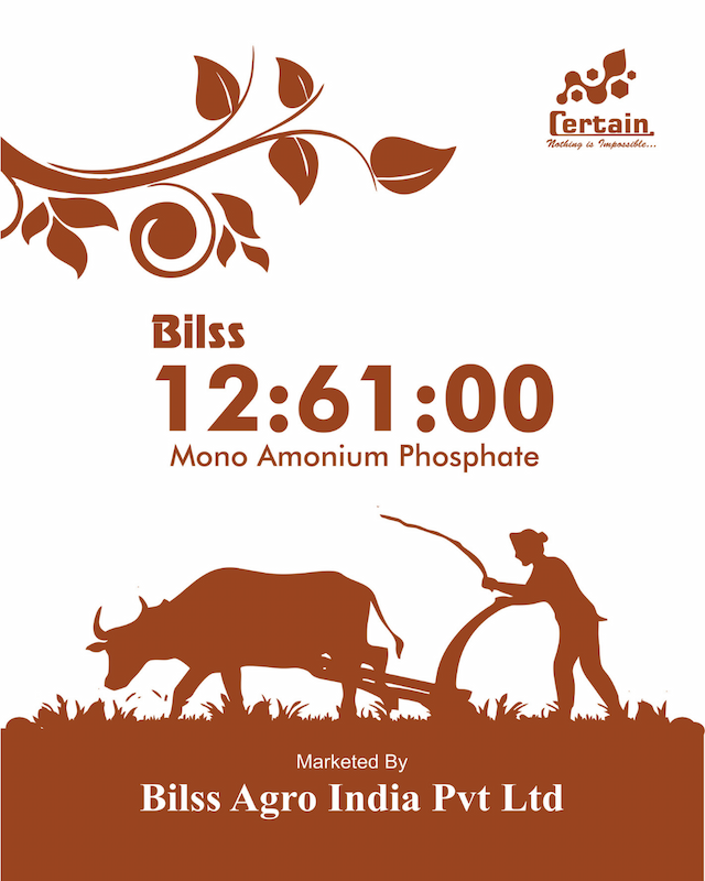 Bilss 12: 61: 00