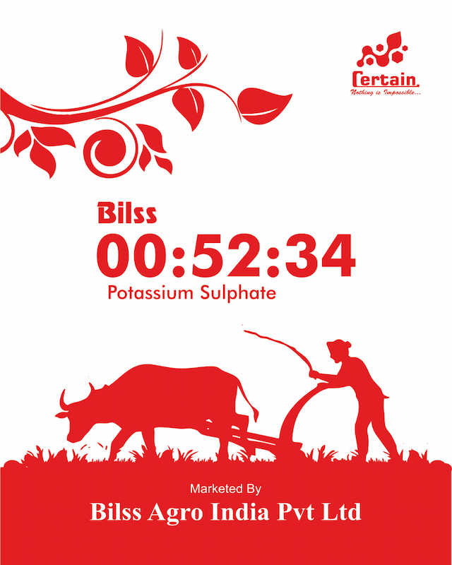 Bilss 00:52:34