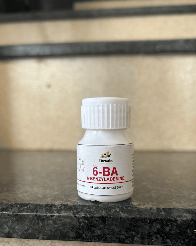6-BA