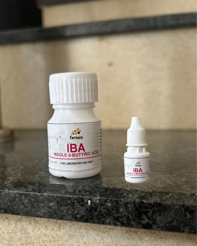 IBA