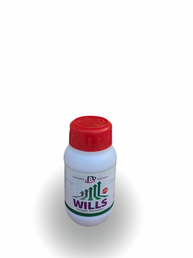 Wills
