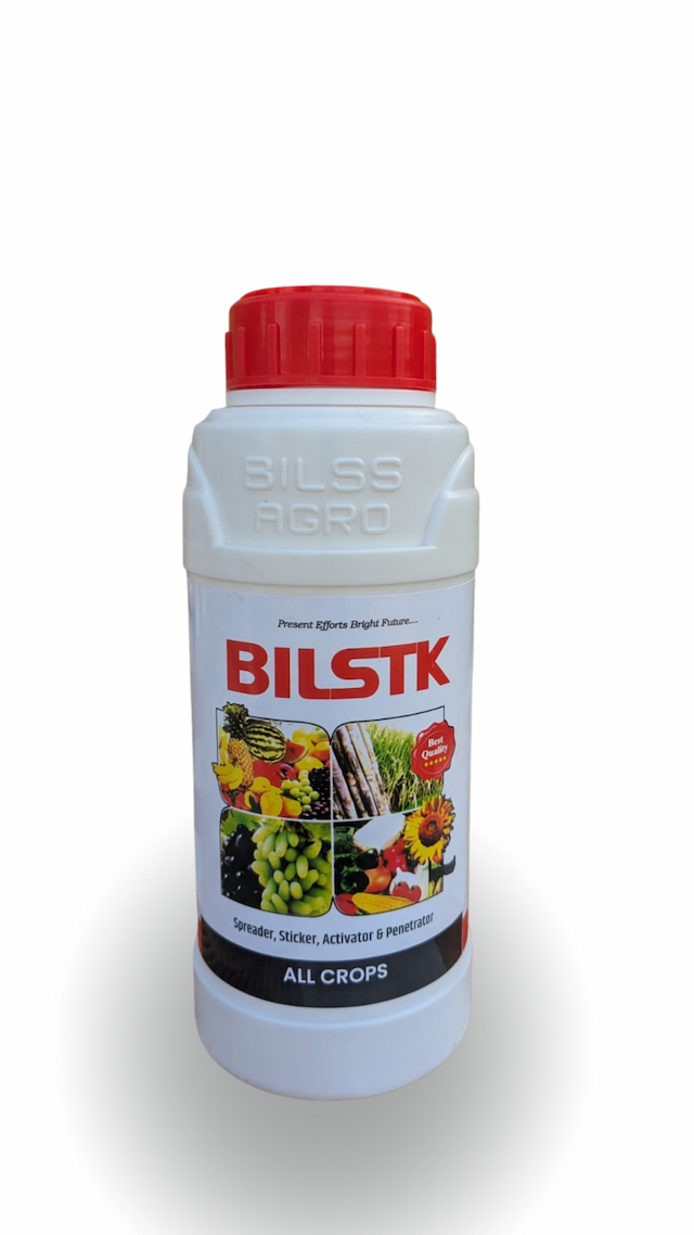 Bilstk
