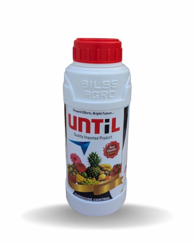 Until